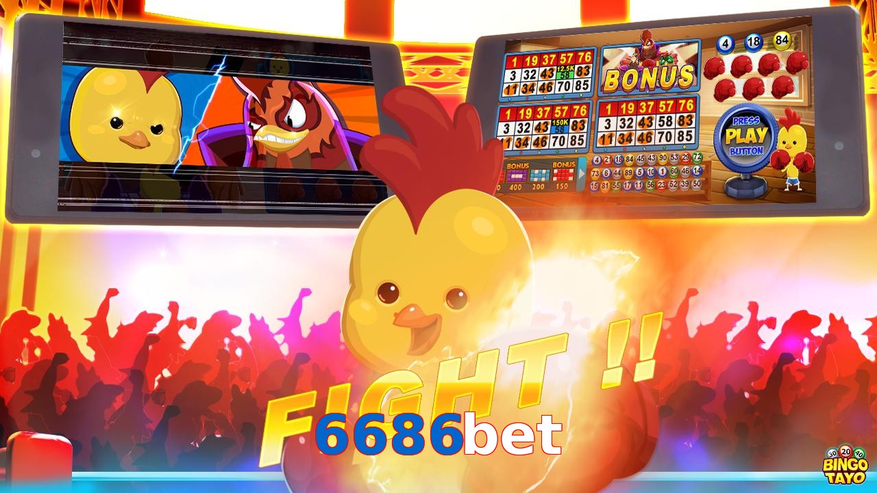 6686bet
